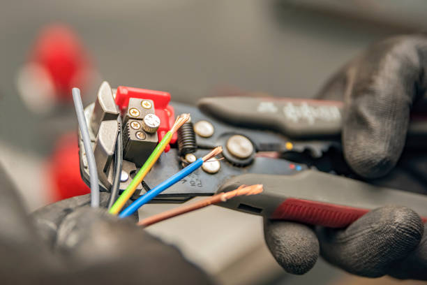 Best Local Electrician Companies  in Wahneta, FL